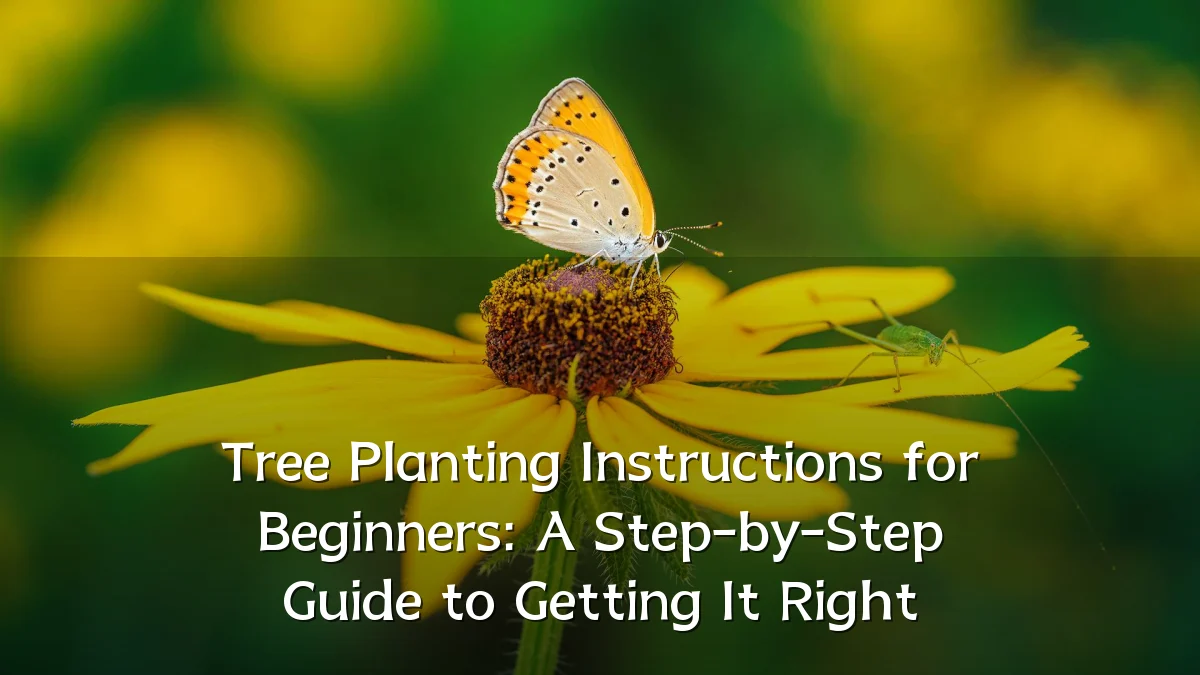Tree Planting Instructions for Beginners: A Step-by-Step Guide to Getting It Right