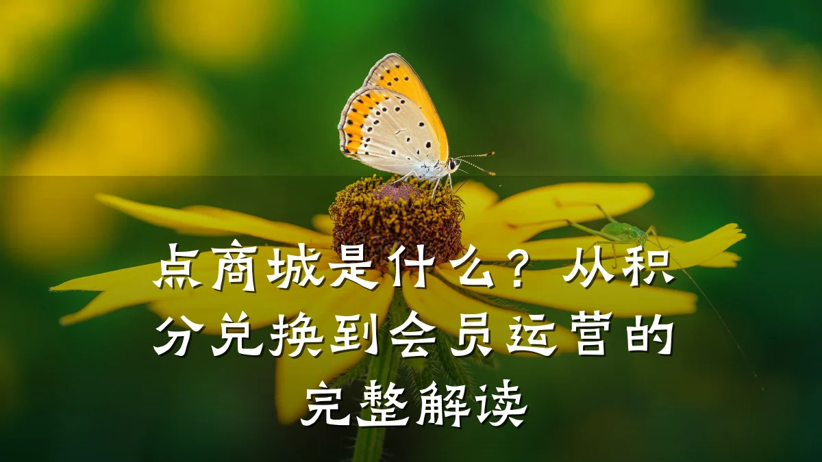 点商城是什么？从积分兑换到会员运营的完整解读
