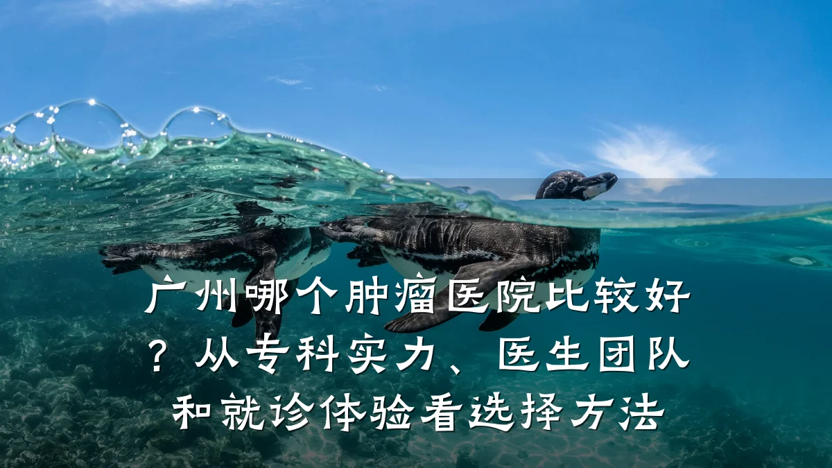 广州哪个肿瘤医院比较好？从专科实力、医生团队和就诊体验看选择方法