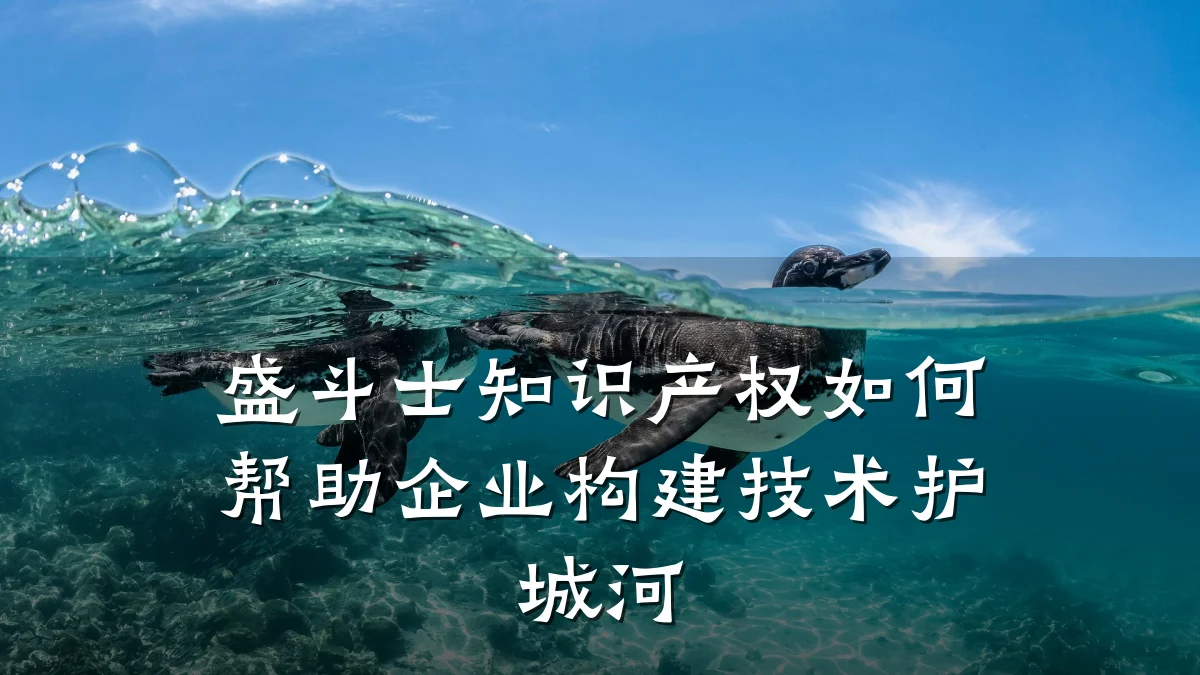 盛斗士知识产权如何帮助企业构建技术护城河