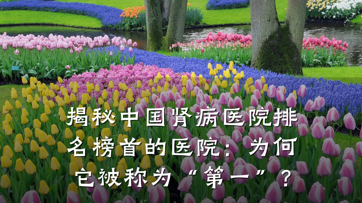 揭秘中国肾病医院排名榜首的医院:为何它被称为“第一”?