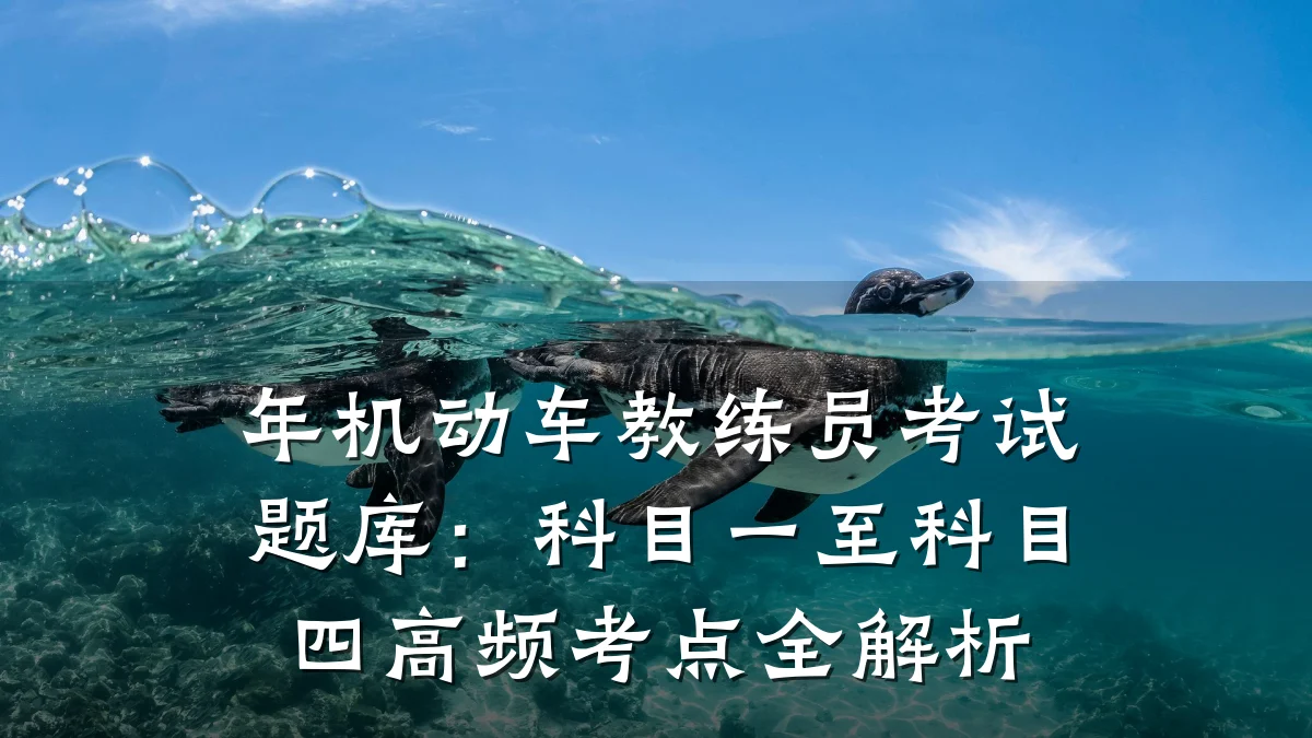 年机动车教练员考试题库:科目一至科目四高频考点全解析