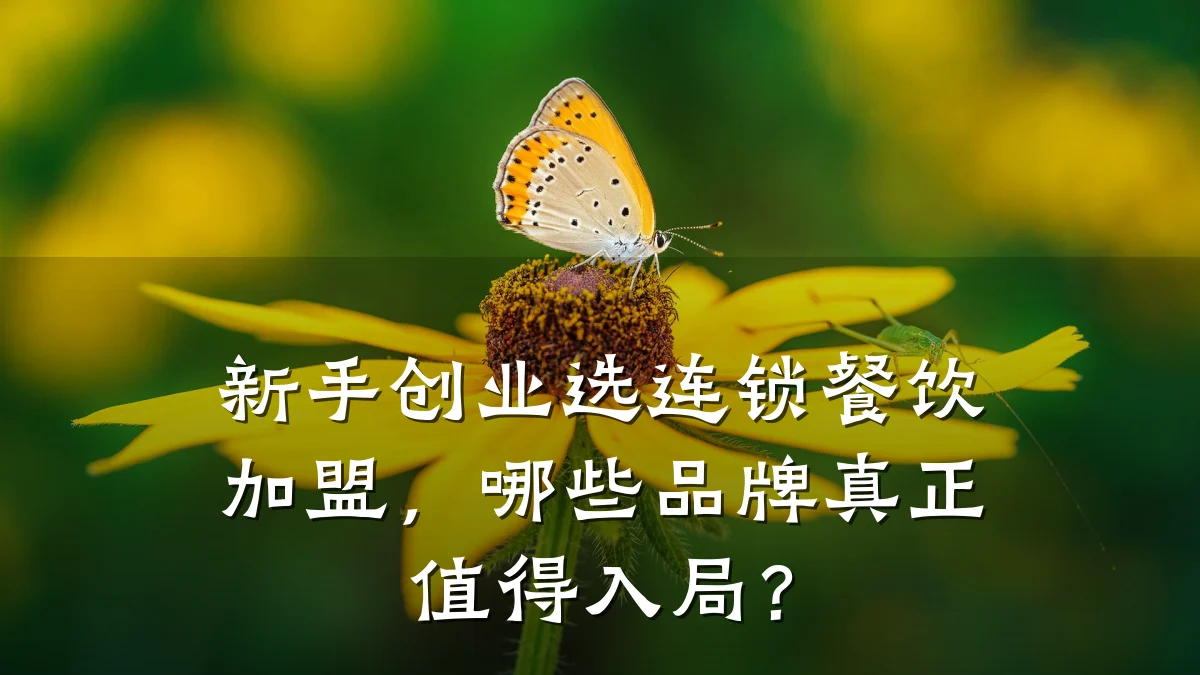 新手创业选连锁餐饮加盟，哪些品牌真正值得入局？