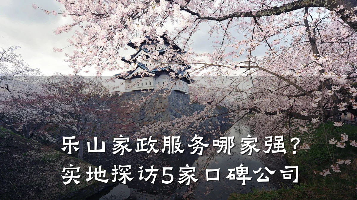 乐山家政服务哪家强?实地探访5家口碑公司