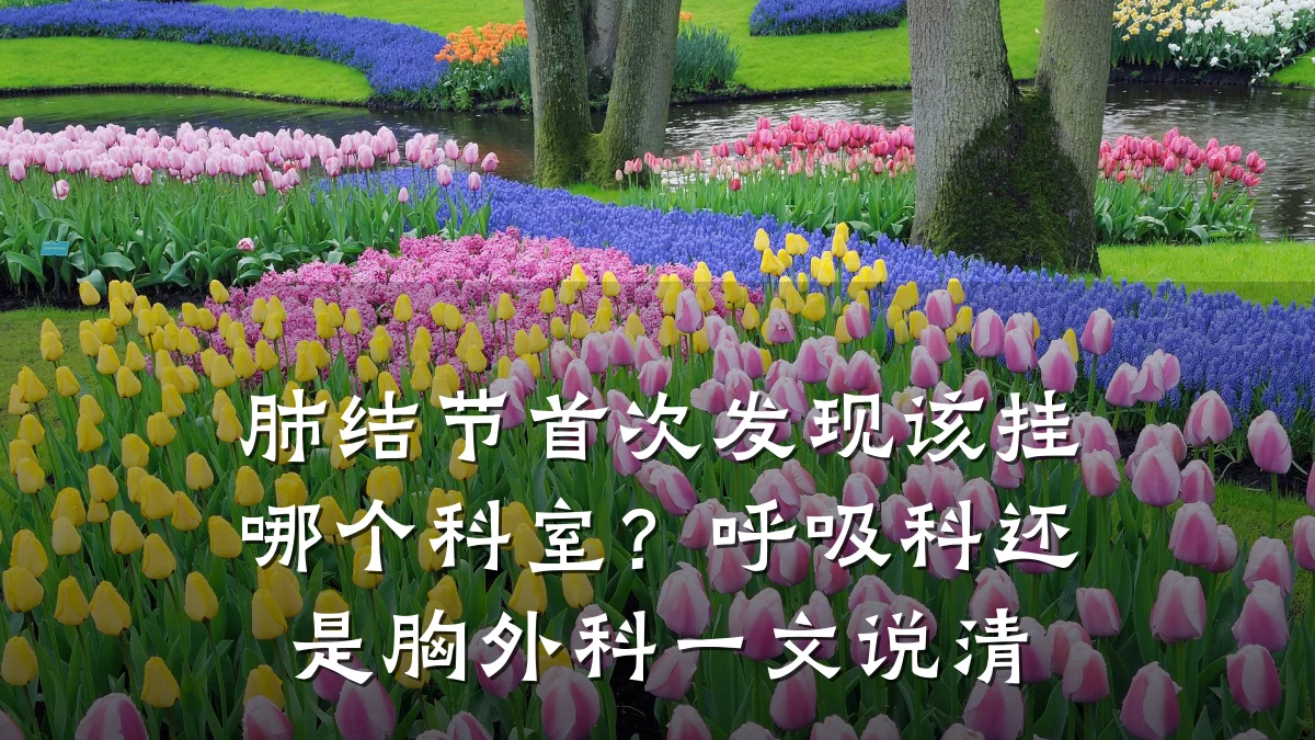 肺结节首次发现该挂哪个科室?呼吸科还是胸外科一文说清