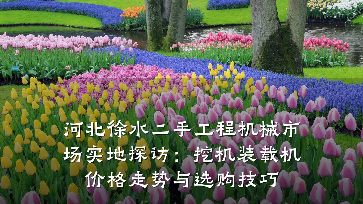 河北徐水二手工程机械市场实地探访：挖机装载机价格走势与选购技巧