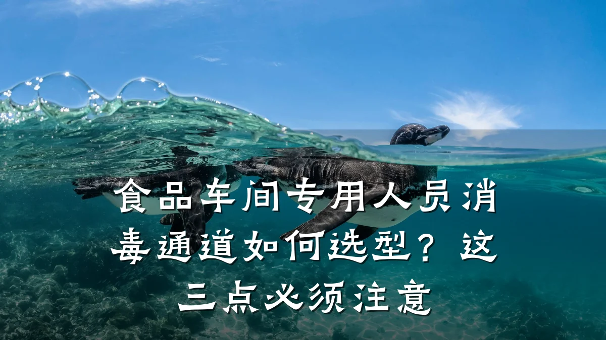 食品车间专用人员消毒通道如何选型？这三点必须注意