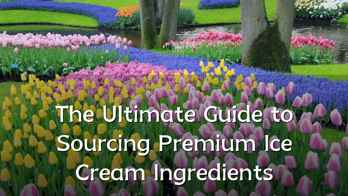 The Ultimate Guide to Sourcing Premium Ice Cream Ingredients