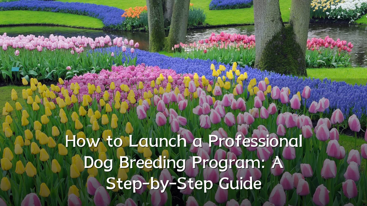 How to Launch a Professional Dog Breeding Program: A Step-by-Step Guide