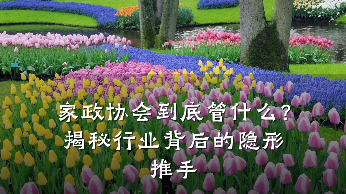 家政协会到底管什么？揭秘行业背后的隐形推手