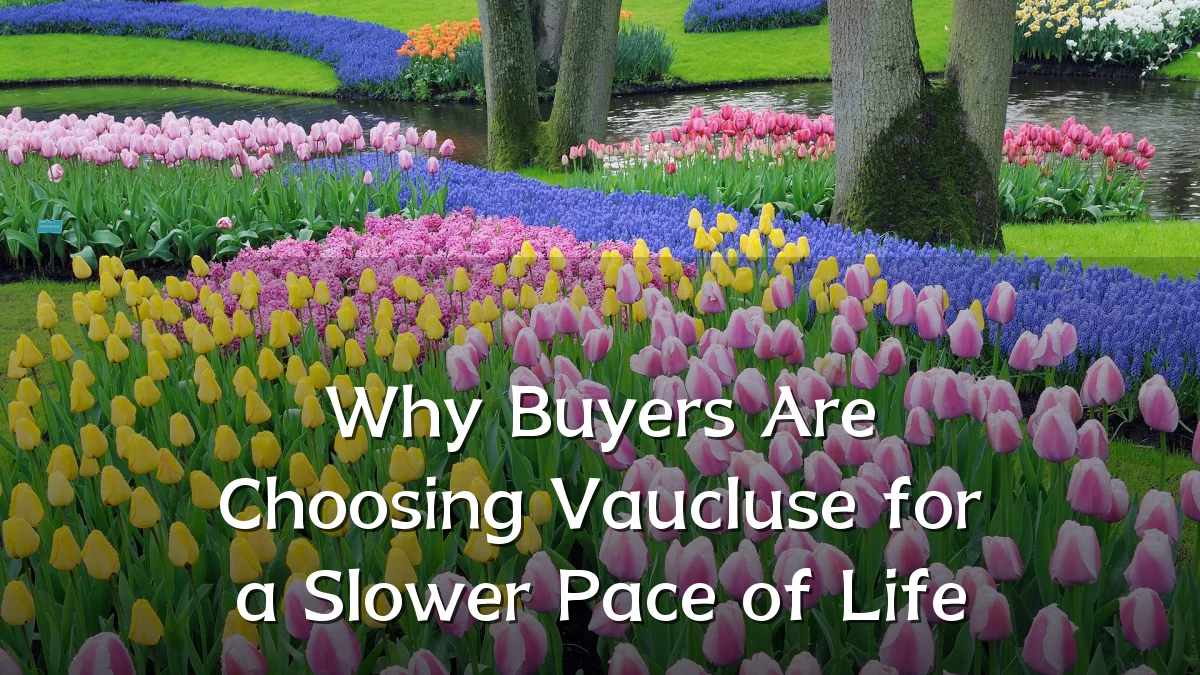 Why Buyers Are Choosing Vaucluse for a Slower Pace of Life