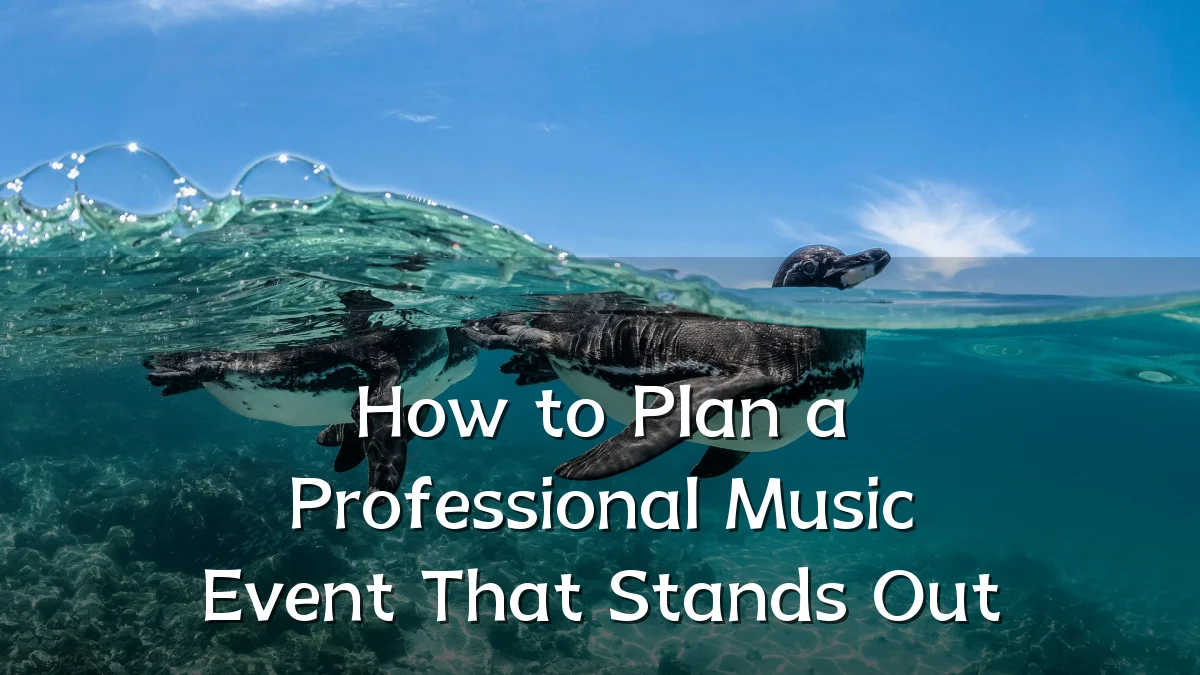 How to Plan a Professional Music Event That Stands Out