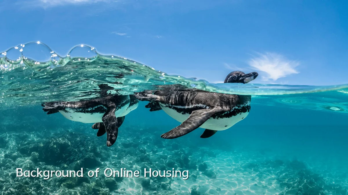 Background of Online Housing
