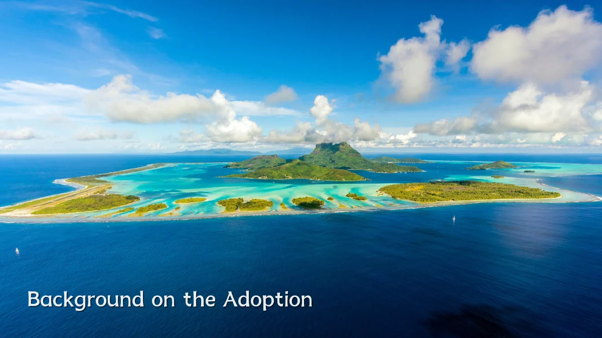 Background on the Adoption
