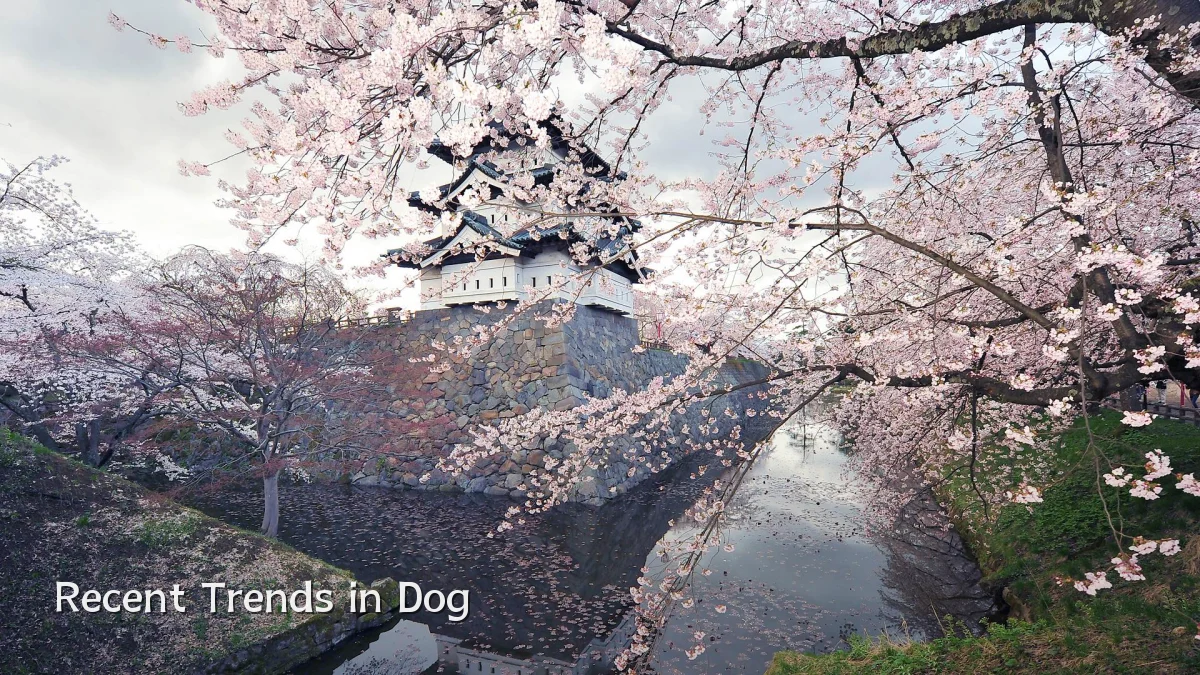 Recent Trends in Dog