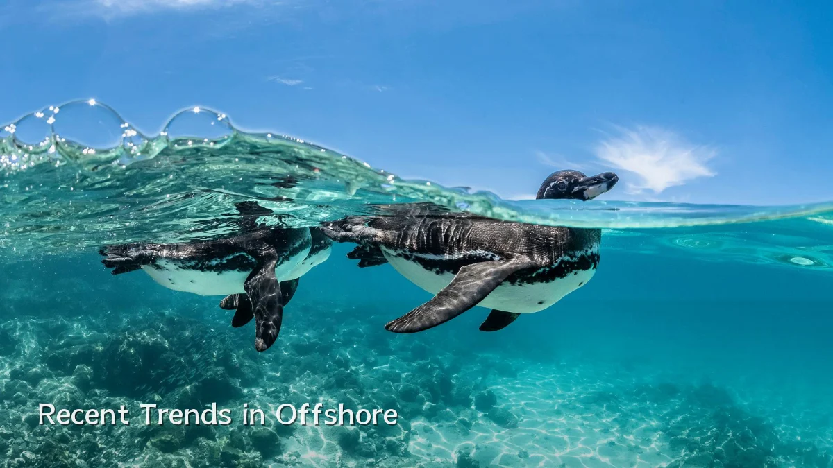 Recent Trends in Offshore