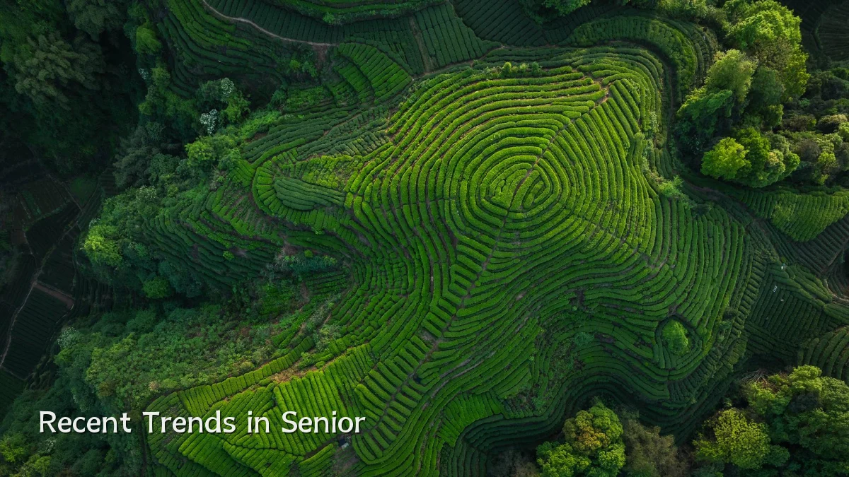Recent Trends in Senior