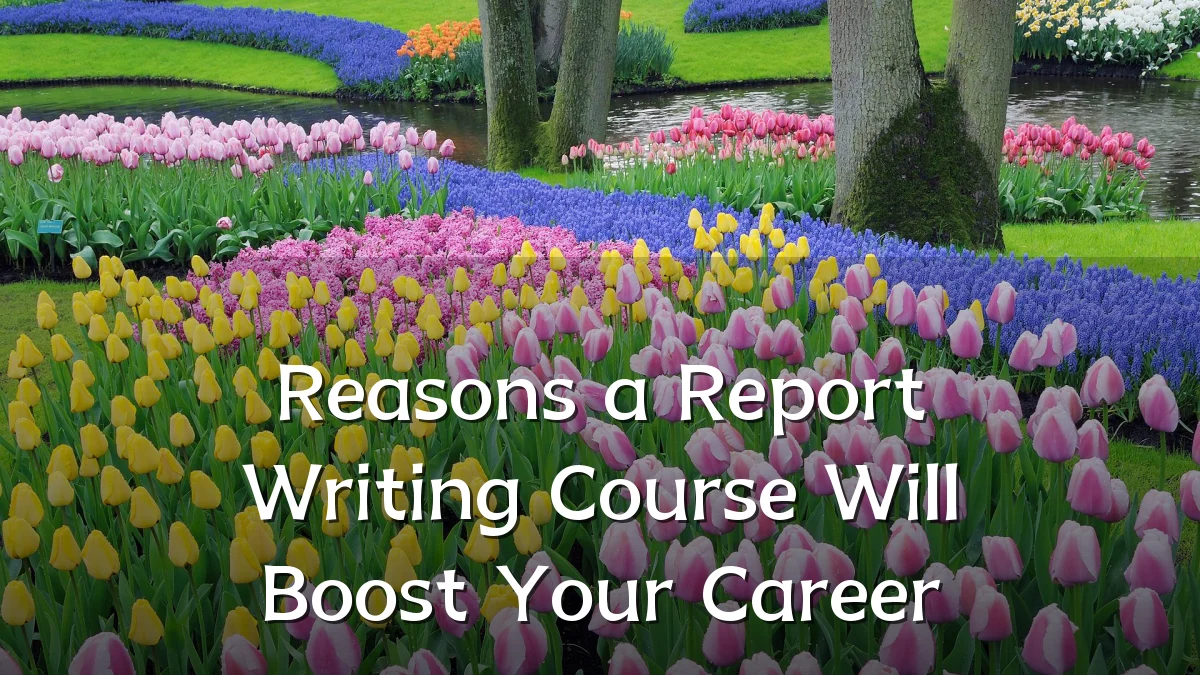 Reasons a Report Writing Course Will Boost Your Career