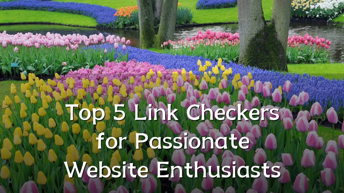 Top 5 Link Checkers for Passionate Website Enthusiasts