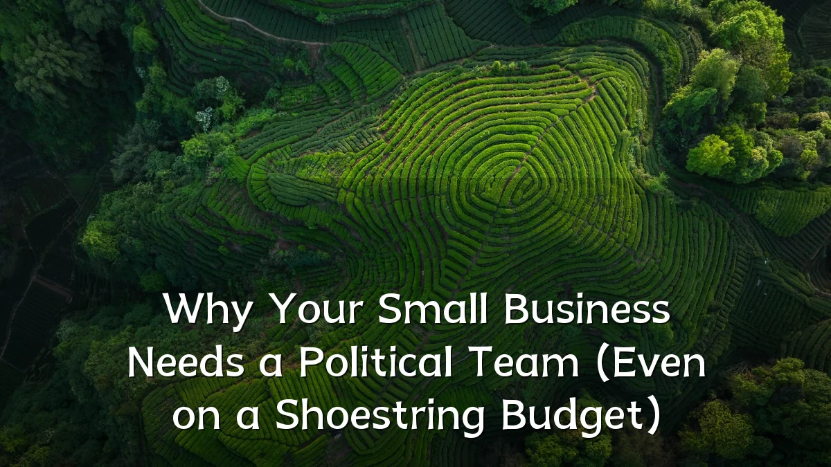 Why Your Small Business Needs a Political Team (Even on a Shoestring Budget)