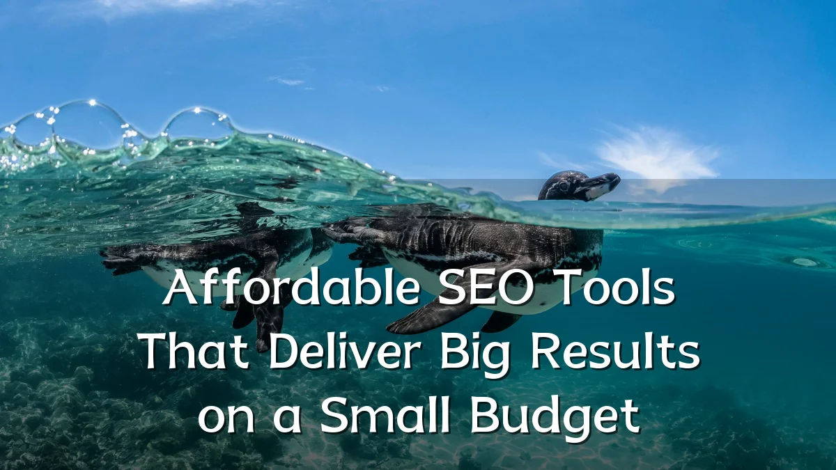 Affordable SEO Tools That Deliver Big Results on a Small Budget