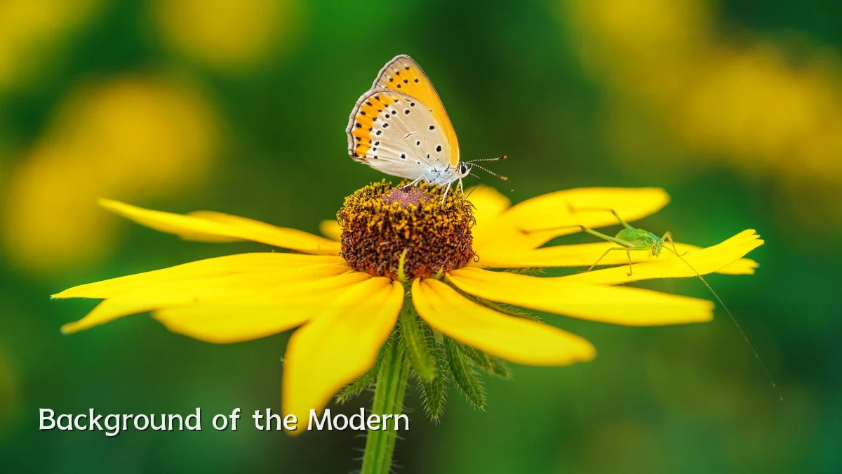 Background of the Modern