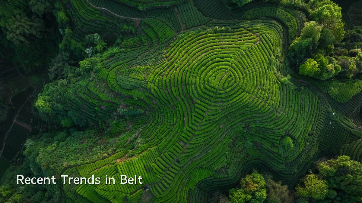 Recent Trends in Belt