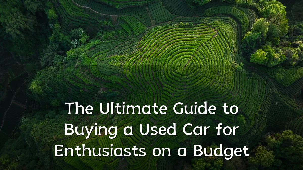 The Ultimate Guide to Buying a Used Car for Enthusiasts on a Budget