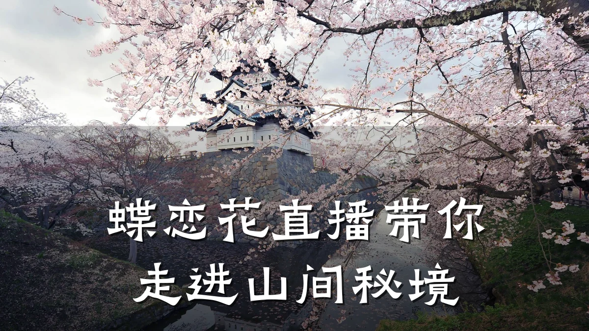 蝶恋花直播带你走进山间秘境