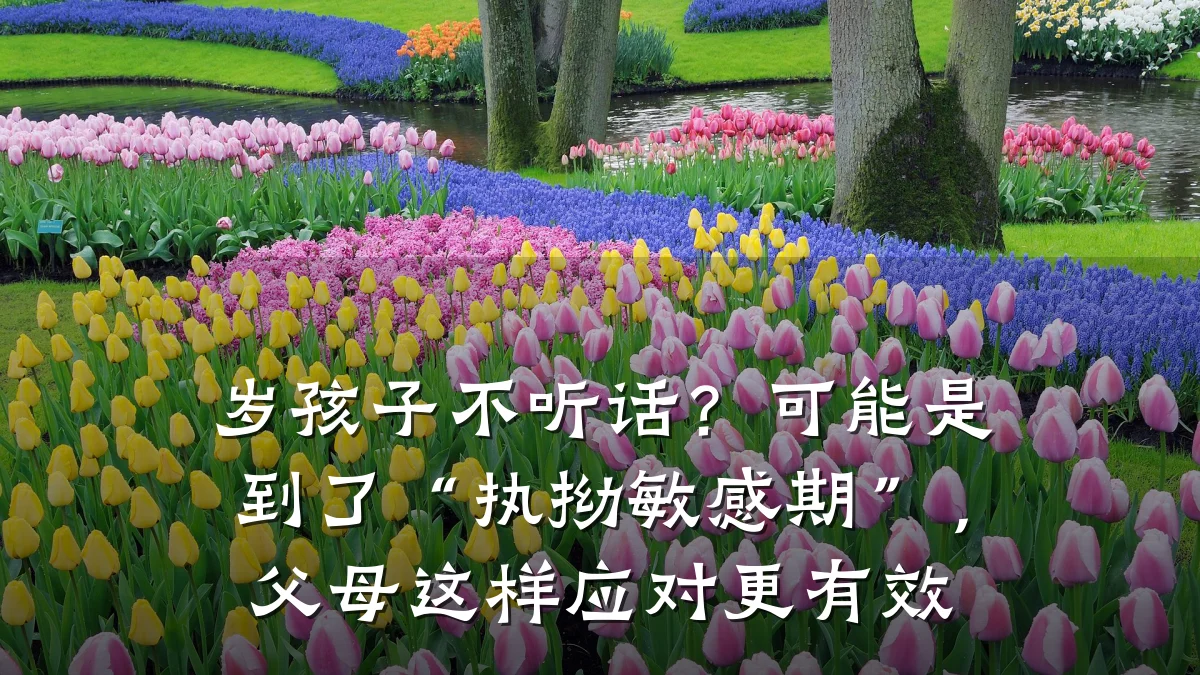岁孩子不听话?可能是到了“执拗敏感期”,父母这样应对更有效