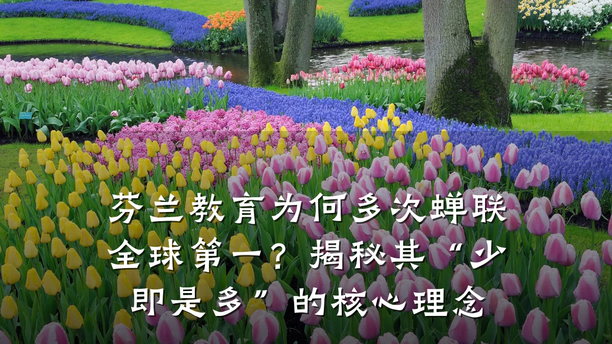 芬兰教育为何多次蝉联全球第一?揭秘其“少即是多”的核心理念