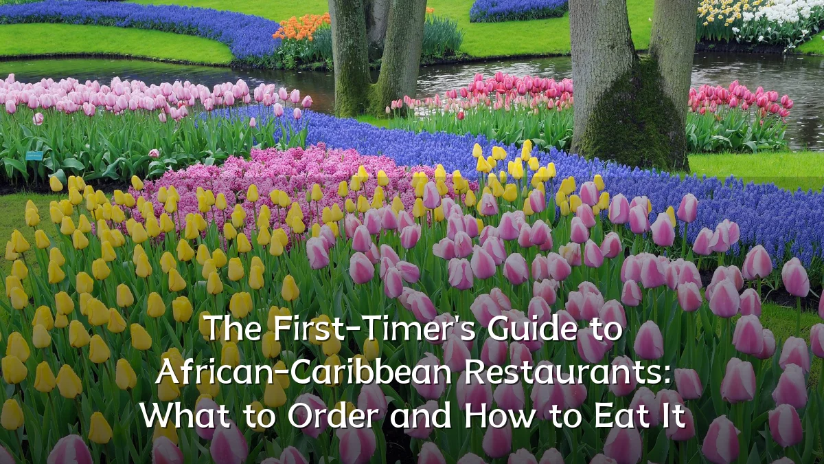 The First-Timer's Guide to African-Caribbean Restaurants: What to Order and How to Eat It