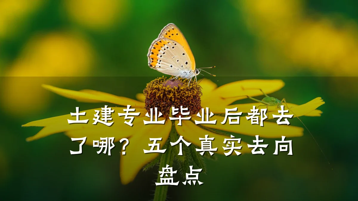 土建专业毕业后都去了哪?五个真实去向盘点