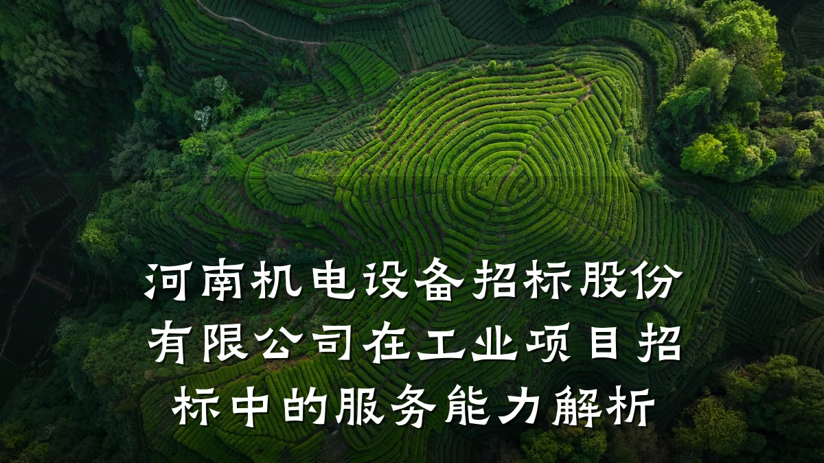 河南机电设备招标股份有限公司在工业项目招标中的服务能力解析